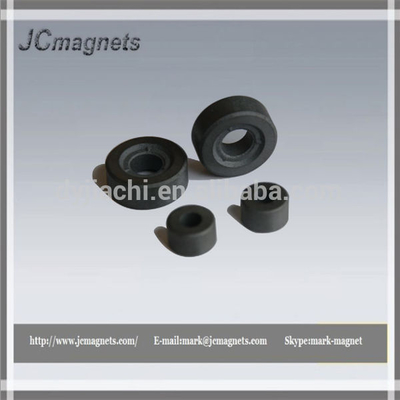 China Ferrite Radial Magnet supplier